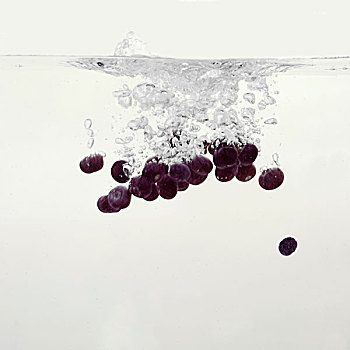 蓝莓,溅,水