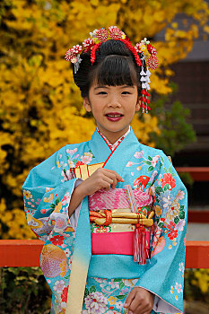 日本人,女孩,衣服,喜庆,七五三节,节日,神祠,京都,近畿地区,日本,亚洲