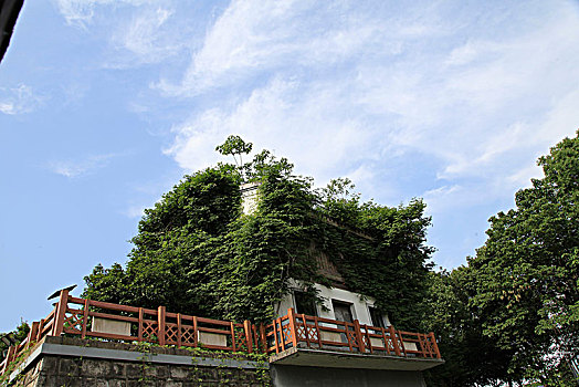 浙江西溪湿地公园