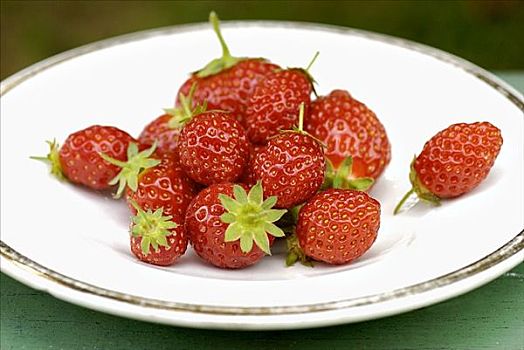 新鲜,草莓,白色背景,盘子