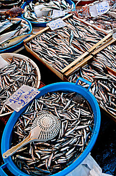 鱼肉,出售,鱼市,那不勒斯,坎帕尼亚区,意大利,欧洲