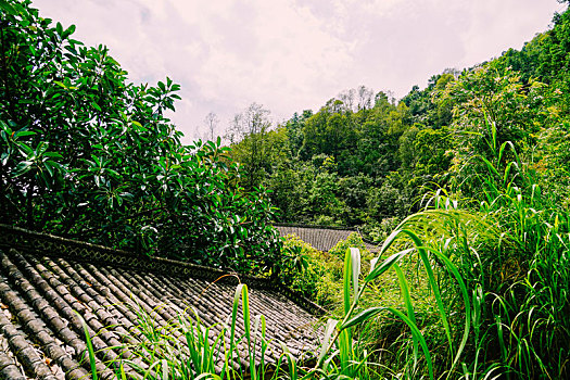 深山古寺