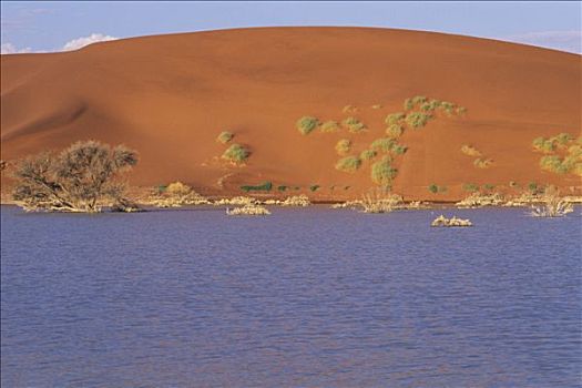 纳米比亚,纳米布沙漠,索苏维来地区,国家公园,自然,盆地,满,水