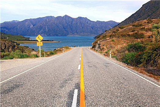 公路,新西兰