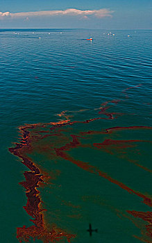 石油泄露,海洋,乔治亚,海峡,不列颠哥伦比亚省,加拿大