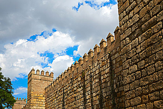 塞维利亚,王宫,要塞,墙壁,安达卢西亚,西班牙