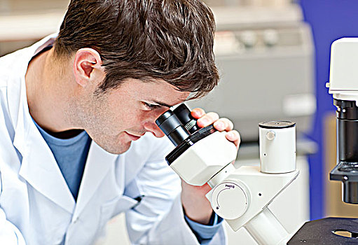 自傲,男性,科学家,看穿,显微镜