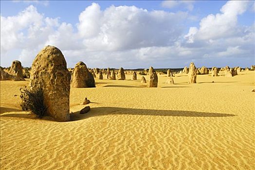 石灰石,柱子,顶峰,荒芜,南邦国家公园,西澳大利亚,澳大利亚