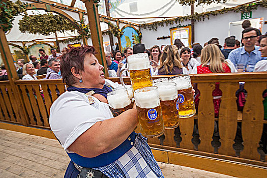 德国,巴伐利亚,慕尼黑,女店员,啤酒,啤酒杯