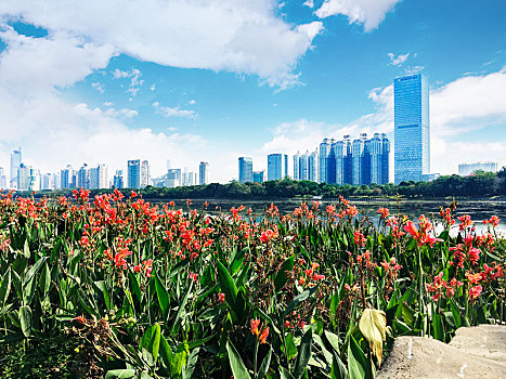 广西南宁南湖公园与沿岸城市建筑物