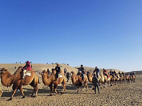 塔克拉玛干沙漠骆驼队