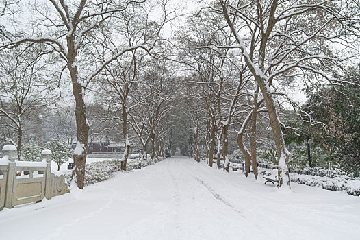 武汉,东湖,雪景