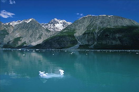 小湾,冰山,冰河湾国家公园,夏天,景色