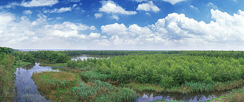 广州湿地公园