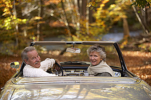 树林,老年,夫妻,注视,肩部,愉悦,秋天,养老金,情侣,人,66岁,60-70岁,老人,两个,一对,岁月,灰发,健身,高兴,和谐,相互关系,满意,探险
