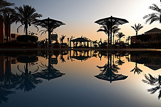 游泳池,早晨,埃及