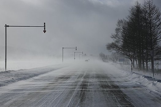 道路,雪