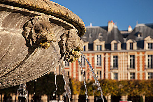 狮子,头部,喷泉,特写,巴黎,法国