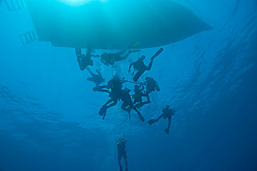 潜水,背影,加勒比,深潜,海湾群岛,洪都拉斯,中美洲