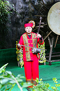 傣族乐器演奏
