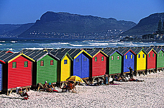 南非,开普敦,鱼,海滩
