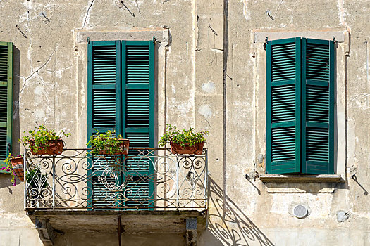 窗户,建筑,伦巴第,意大利