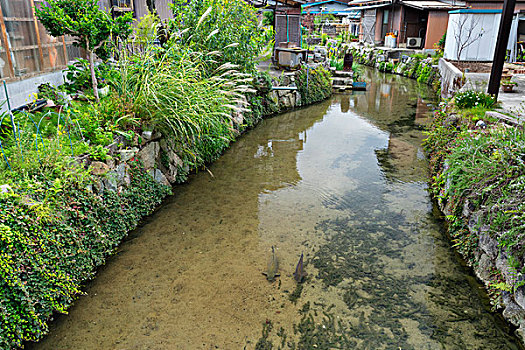 水岸,风景