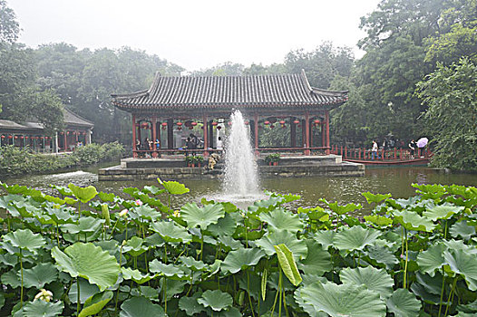 恭王府莲花池,北京西城区