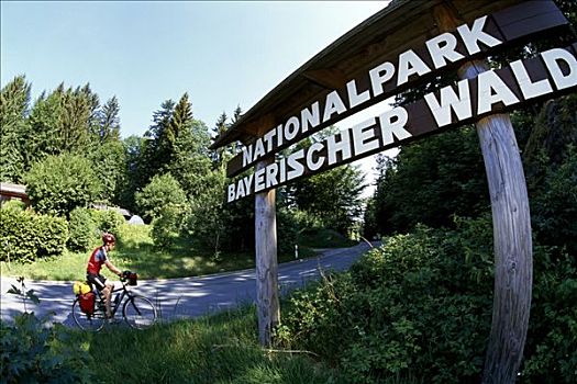 骑车,巴伐利亚森林国家公园,巴伐利亚,德国