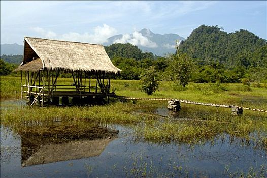 小屋,镜子,安静,水,靠近,万荣,老挝