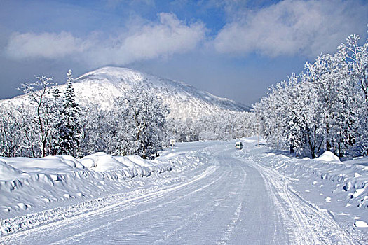 雪乡风景