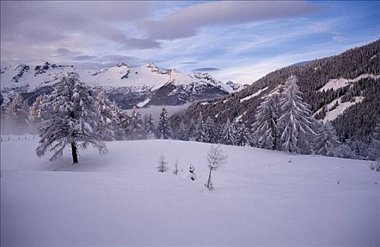 雪,冬季风景,陶安,卡林西亚,奥地利