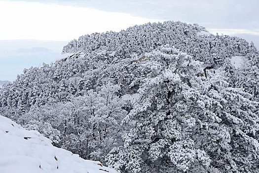 雪后华山宛如画