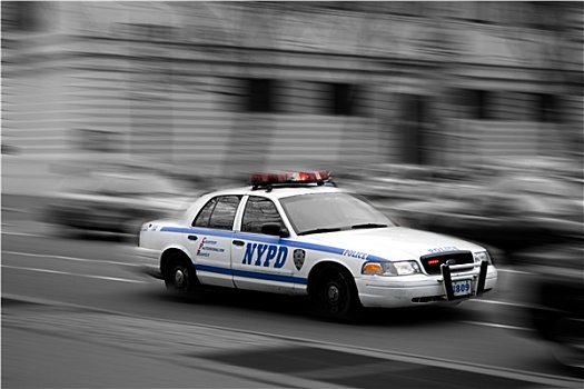 纽约,警察