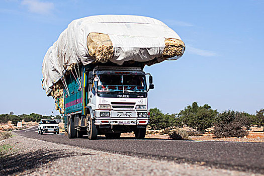 稻草,运输,卡车,靠近,阿加迪尔,摩洛哥,非洲