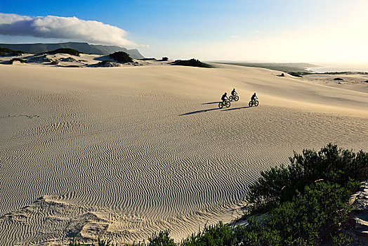 山地车,自行车,沙滩,沙丘,骑自行车,自然保护区,西海角,南非,非洲