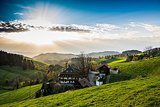 风景,丘陵地貌,农舍,靠近,黑森林,巴登符腾堡,德国,欧洲