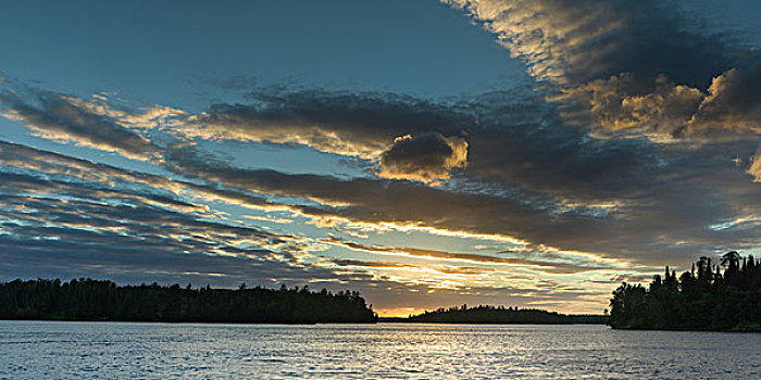风景,树,湖岸,湖,木头,安大略省,加拿大