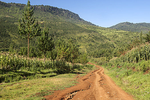 土路,通过,山峦,乌干达