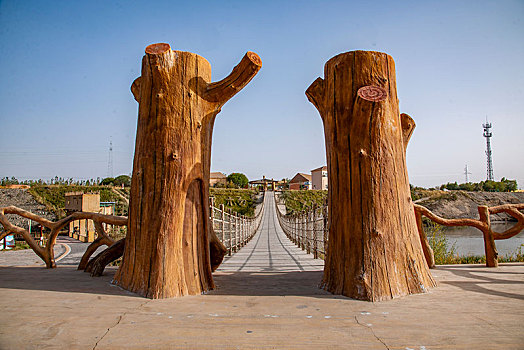 新疆澤普金胡楊國家森林園區葉爾羌河上的樹樁吊橋