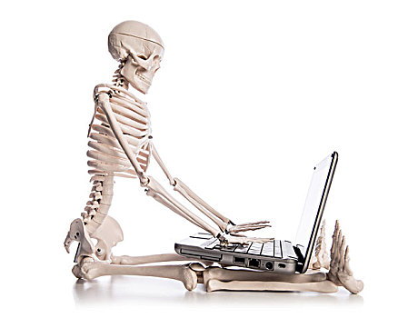 骨骼,工作,笔记本电脑