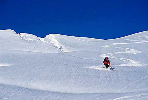 下坡,滑雪者,牙齿,德纳里峰国家公园