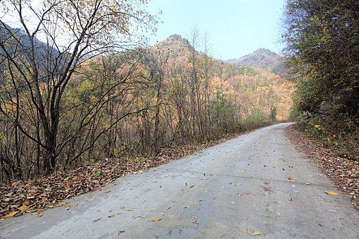 秦岭火地沟风光