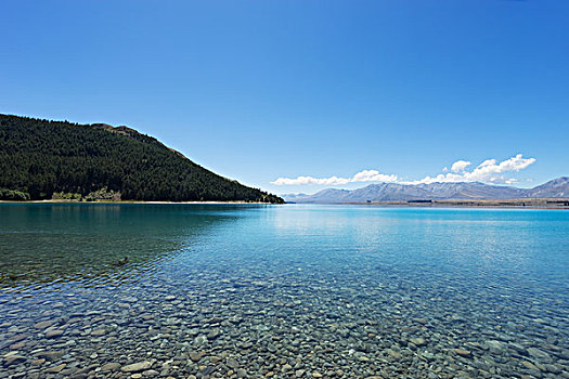 风景,湖,夏天,新西兰