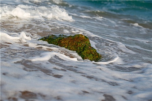 石头,苔藓,海浪
