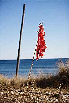 红色,布,棍,困住,沙子,海洋,背景