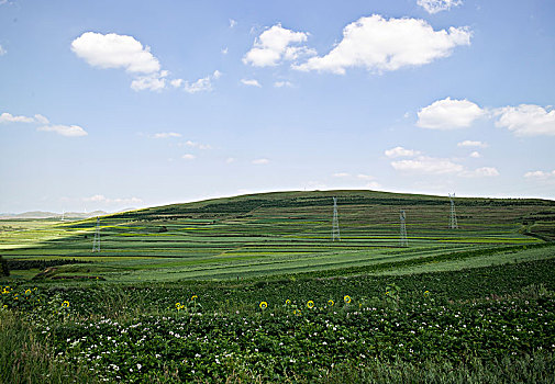 张家口草原天路