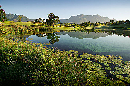 水塘,花园大道,西海角,南非
