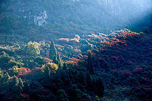 长江三峡巫峡深山峡谷的一束阳光