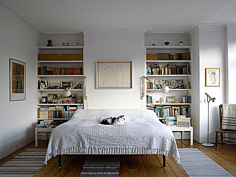 卧室,书架